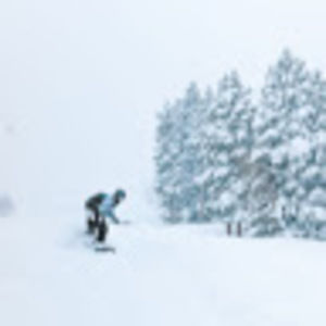 Meet your Posher, Wade